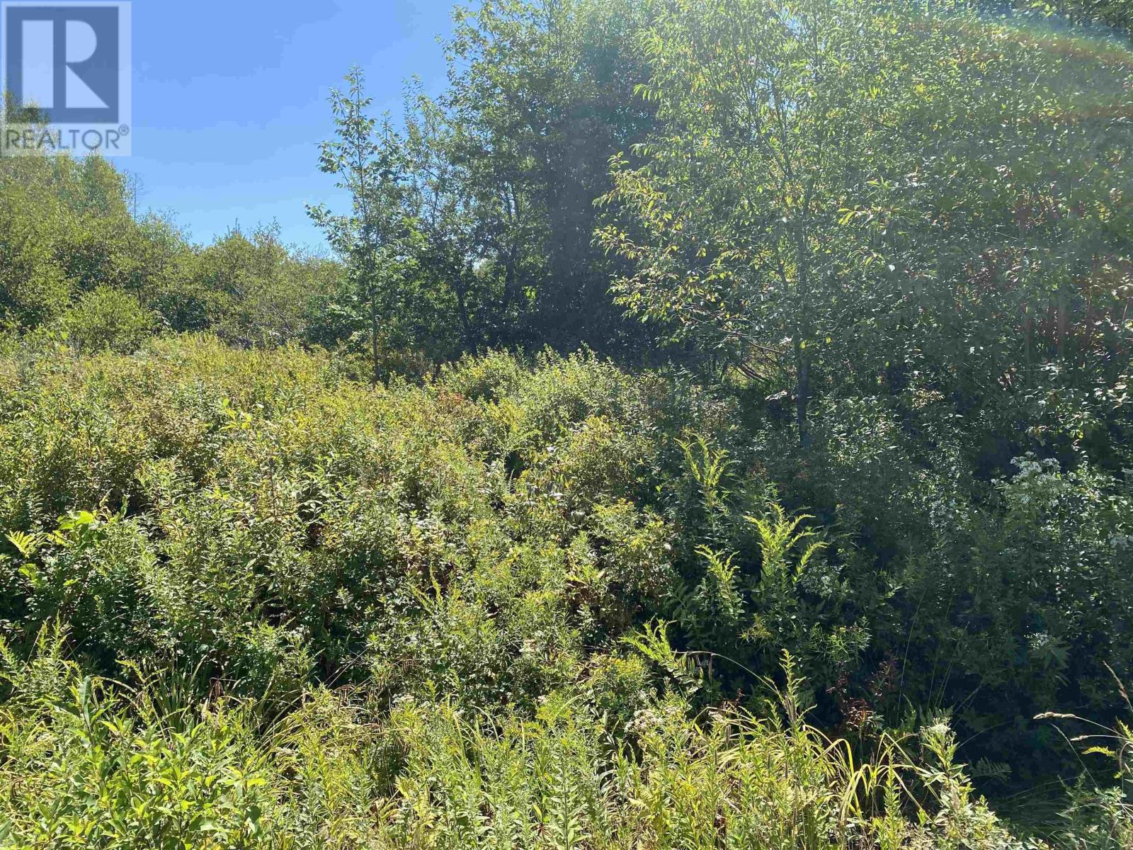 3666 Highway 203, East Kemptville, Nova Scotia  B5A 5P7 - Photo 10 - 202521547