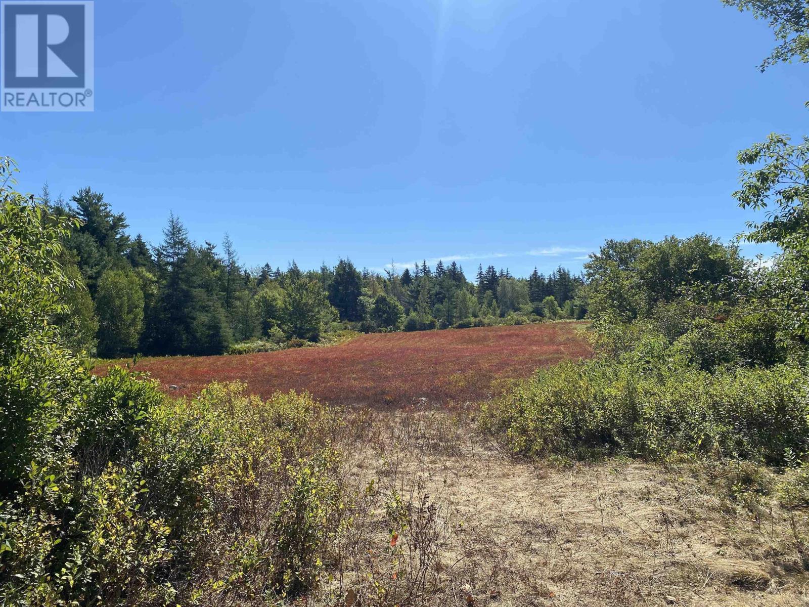 3666 Highway 203, East Kemptville, Nova Scotia  B5A 5P7 - Photo 9 - 202521547