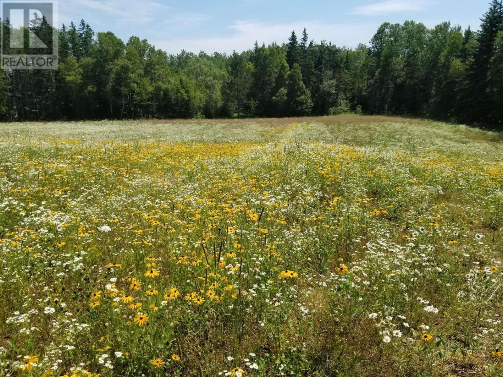Acreage County Line Road, Iris, Prince Edward Island  C0A 1W0 - Photo 2 - 202521558