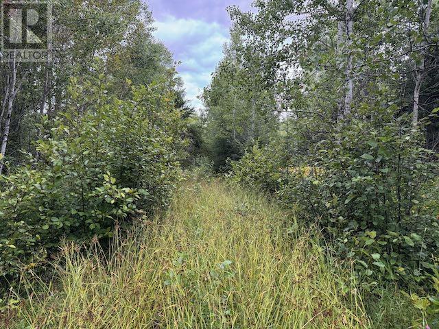 Pin420900045&44 Hughes Creek Rd, Wabigoon, Ontario  P0V 2W0 - Photo 3 - TB252651