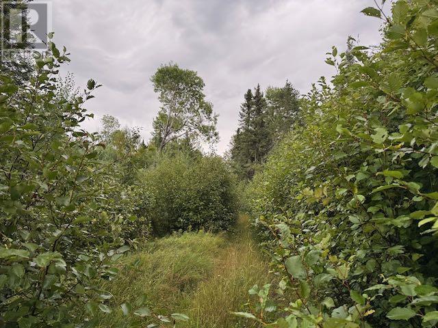 Pin420900045&44 Hughes Creek Rd, Wabigoon, Ontario  P0V 2W0 - Photo 9 - TB252651