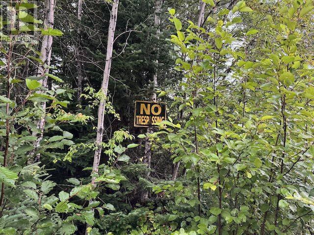 Pin420900045&44 Hughes Creek Rd, Wabigoon, Ontario  P0V 2W0 - Photo 2 - TB252651
