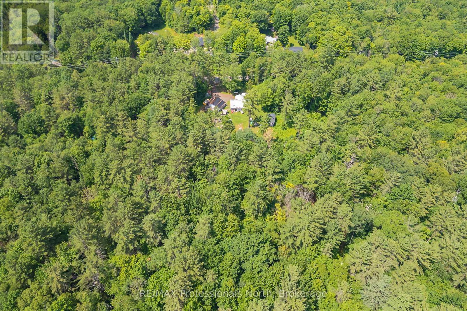 187 Stephenson 4 Road W, Huntsville, Ontario  P0B 1M0 - Photo 40 - X12363313
