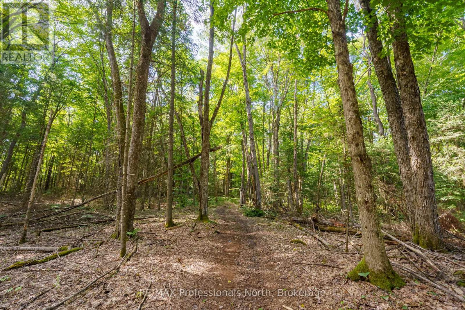 187 Stephenson 4 Road W, Huntsville, Ontario  P0B 1M0 - Photo 41 - X12363313