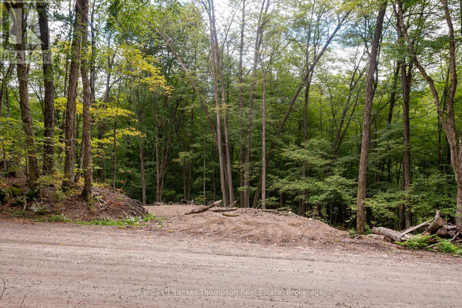 Lot 4 Emsdale Lake Road, Perry, Ontario  P0A 1J0 - Photo 3 - X12363363