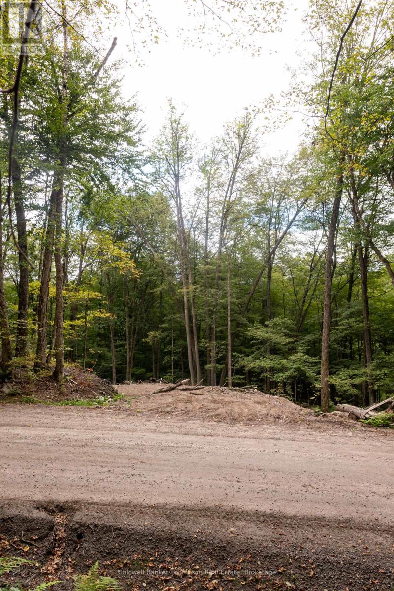 Lot 4 Emsdale Lake Road, Perry, Ontario  P0A 1J0 - Photo 4 - X12363363