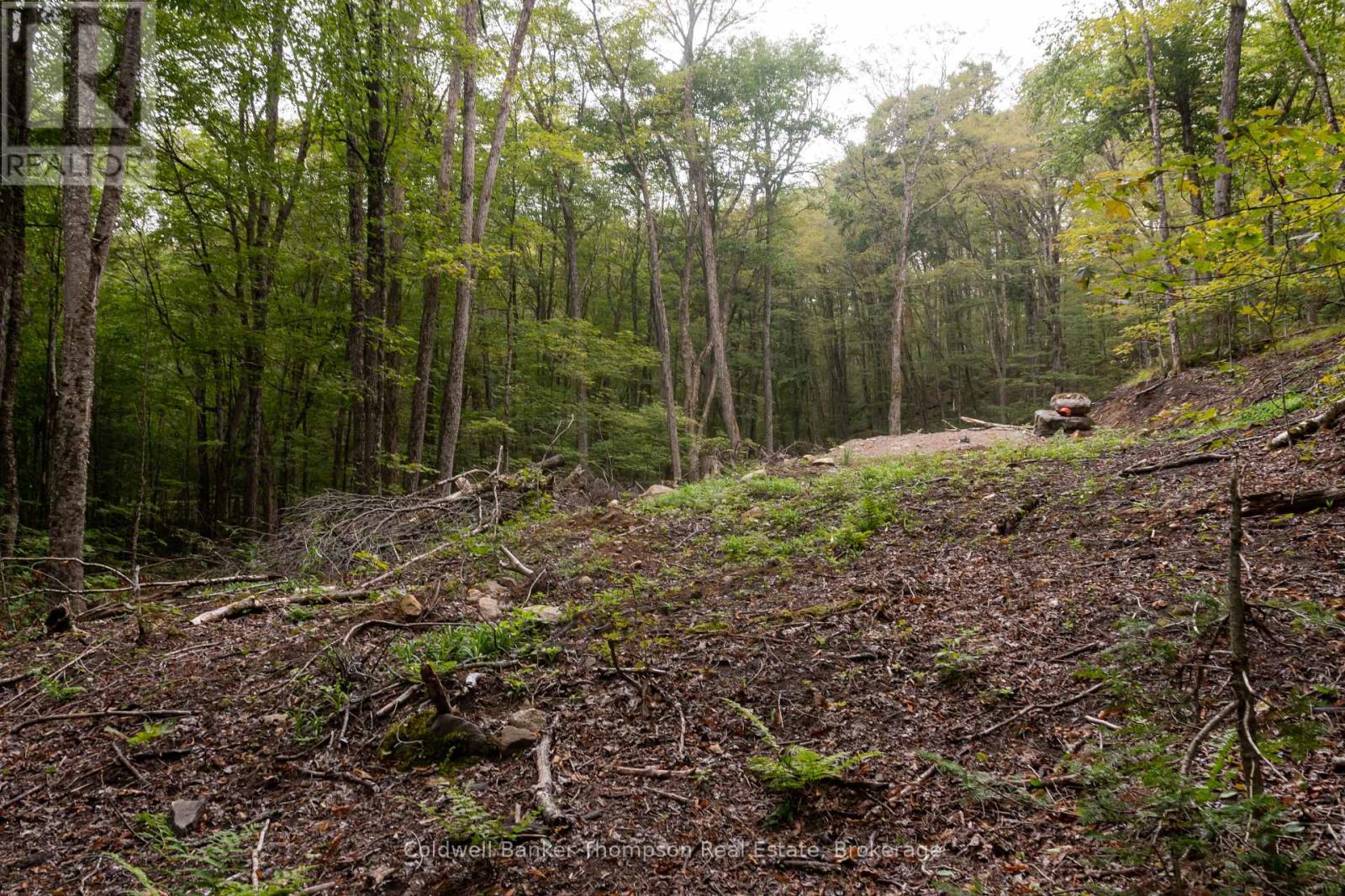 Lot 4 Emsdale Lake Road, Perry, Ontario  P0A 1J0 - Photo 8 - X12363363