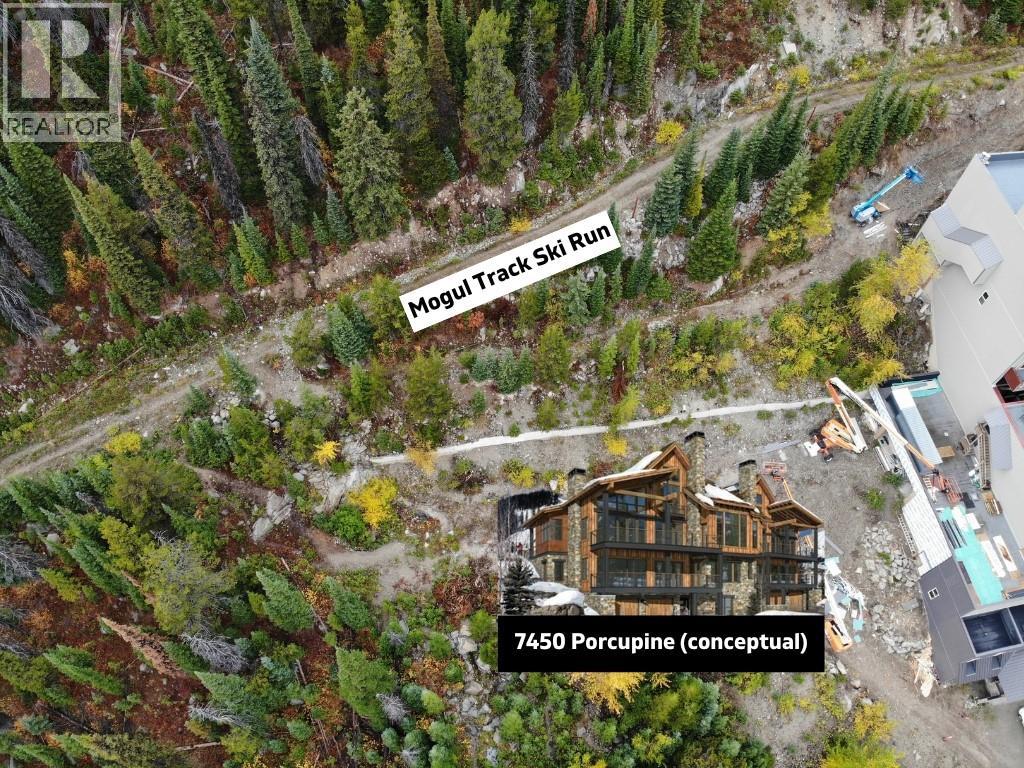 7450 Porcupine Road, Big White, British Columbia  V1P 1P3 - Photo 7 - 10360575