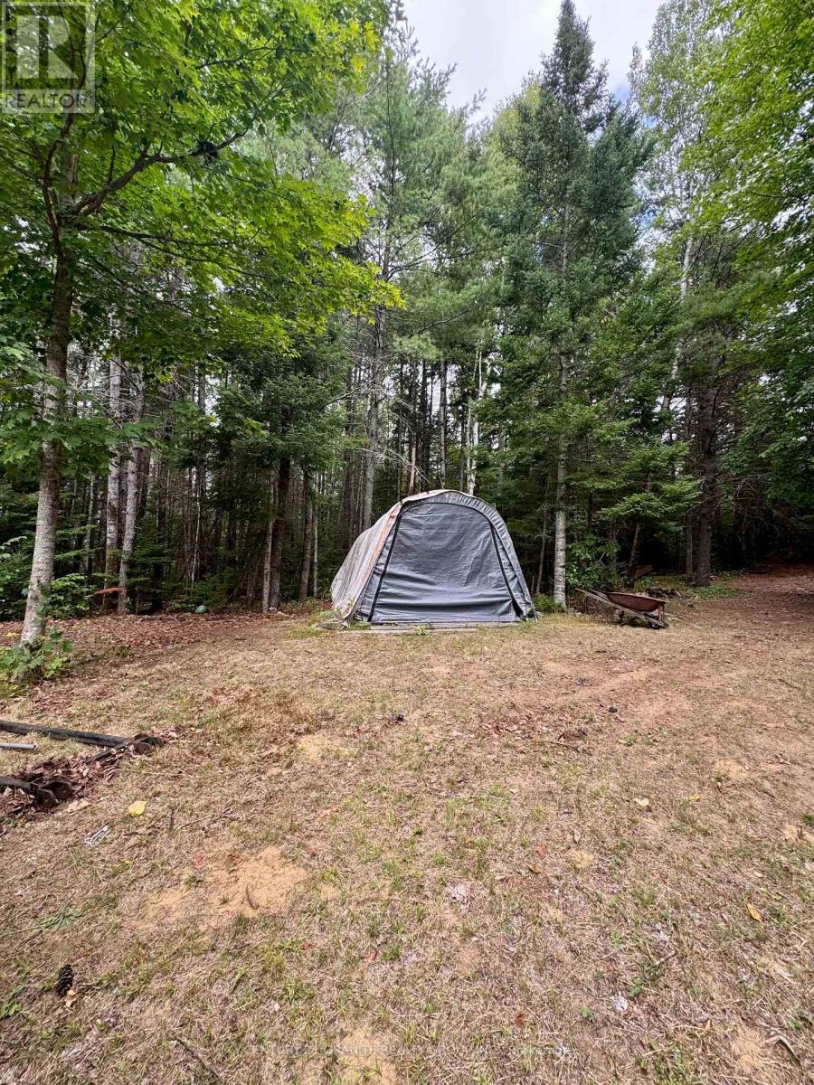 1641 Boulter Road, Carlow/mayo, Ontario  K0L 2R0 - Photo 37 - X12362700
