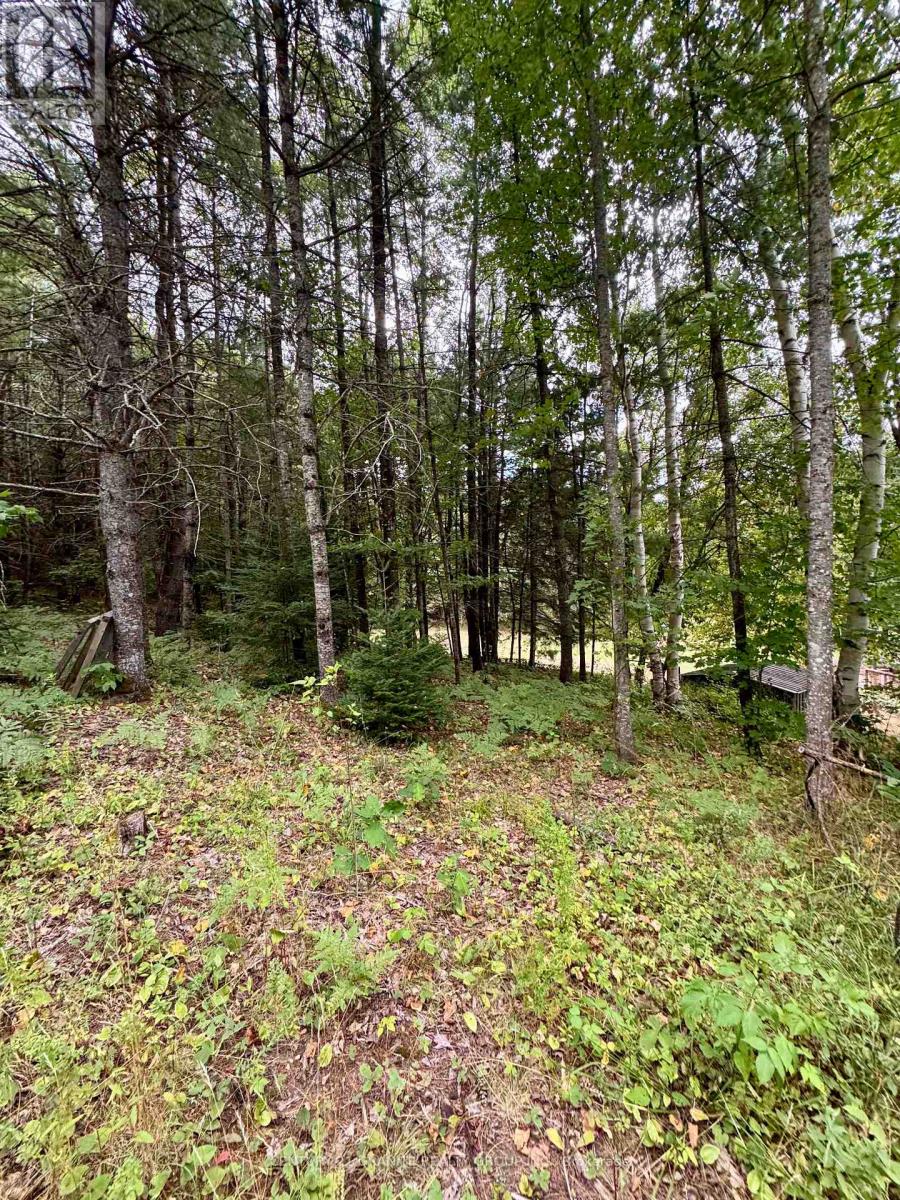 1641 Boulter Road, Carlow/mayo, Ontario  K0L 2R0 - Photo 39 - X12362700