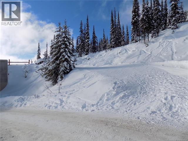 5940 Snow Pines Way Unit# 23, Big White, British Columbia  V1P 1P3 - Photo 18 - 10360091