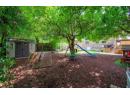 Backyard with Shed