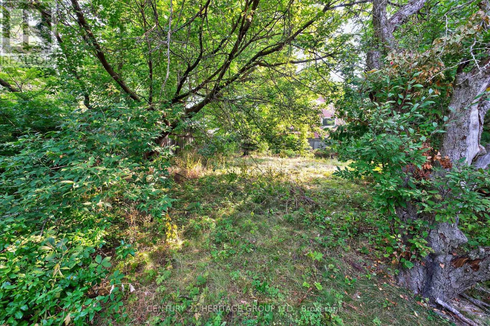 117 Lucas Street, Richmond Hill, Ontario  L4C 4P4 - Photo 31 - N12362830