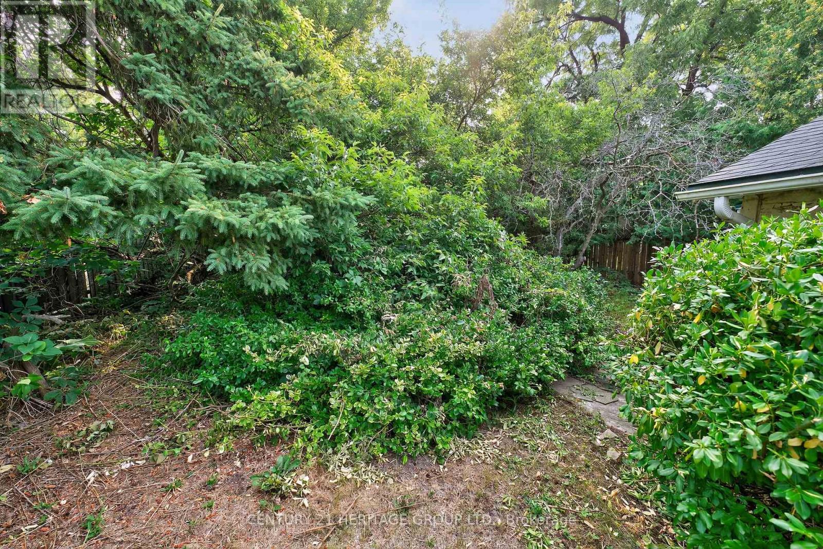 117 Lucas Street, Richmond Hill, Ontario  L4C 4P4 - Photo 30 - N12362830