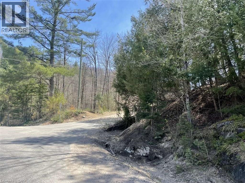 Lot 1 Colonial Road, Minden, Ontario  K0M 2K0 - Photo 2 - 40763425