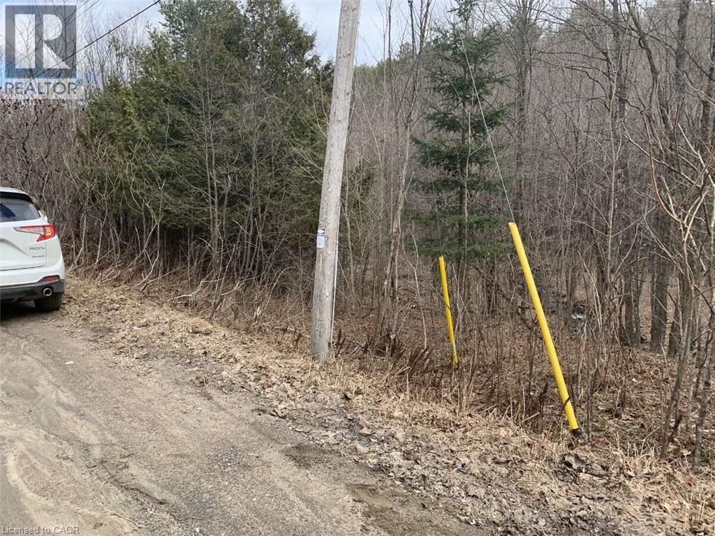 Lot 1 Colonial Road, Minden, Ontario  K0M 2K0 - Photo 4 - 40763425