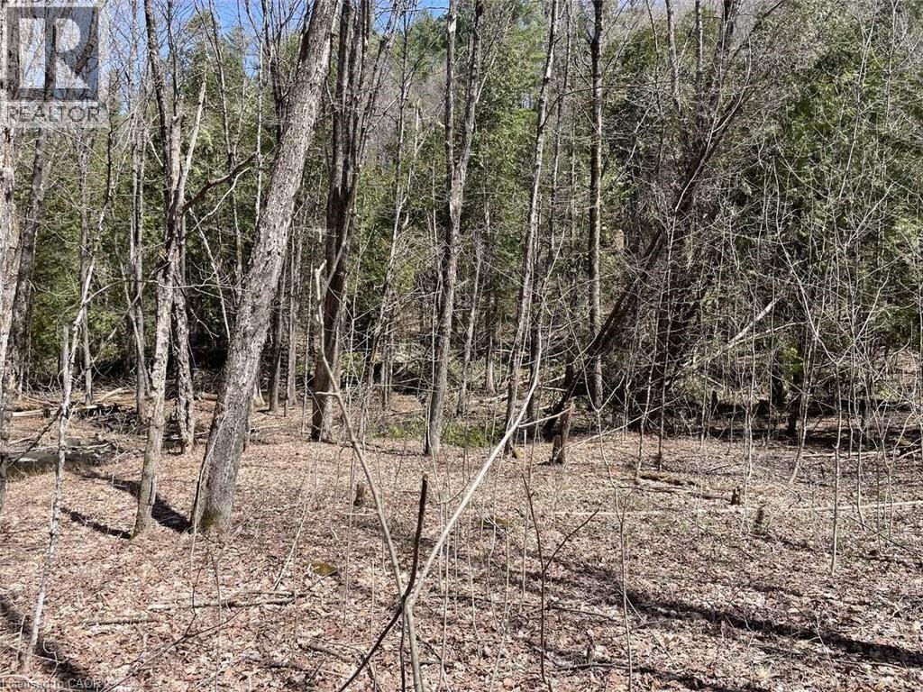 Lot 1 Colonial Road, Minden, Ontario  K0M 2K0 - Photo 8 - 40763425