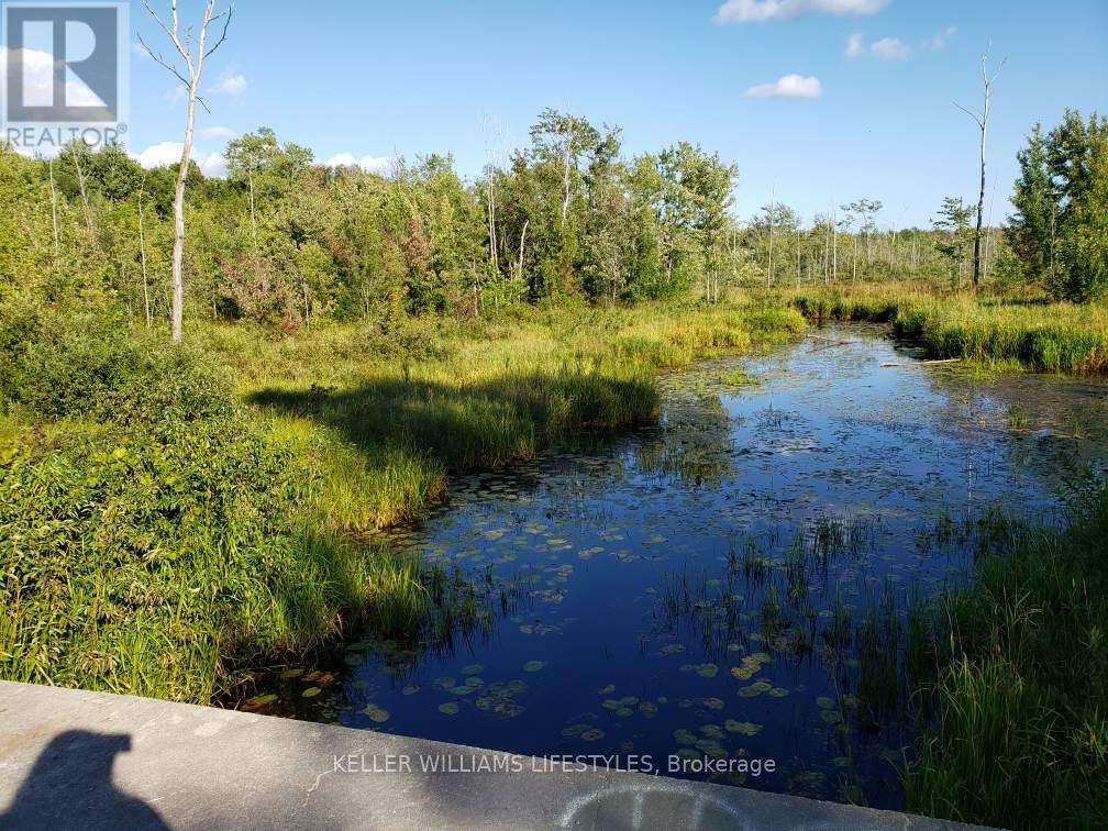 70379 Zion Church Road, Georgian Bluffs, Ontario  N0H 2T0 - Photo 2 - X12363678