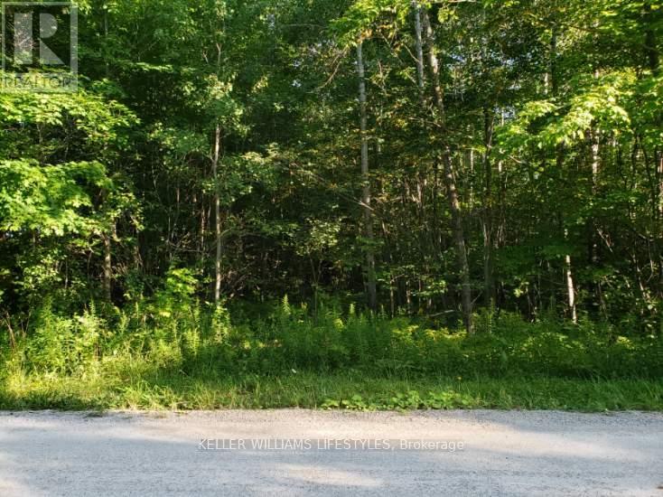 70379 Zion Church Road, Georgian Bluffs, Ontario  N0H 2T0 - Photo 5 - X12363678