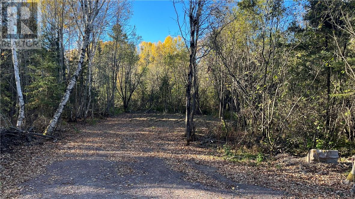 511 Deer Lake, Warren, Ontario  P0H 2N0 - Photo 2 - 2123826