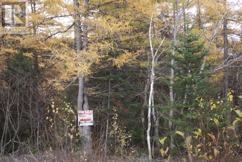 34-60 Rattling Brook Road, Norris Arm, Newfoundland & Labrador  A0G 3M0 - Photo 3 - 1289686