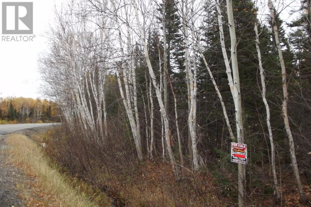 34-60 Rattling Brook Road, Norris Arm, Newfoundland & Labrador  A0G 3M0 - Photo 4 - 1289686