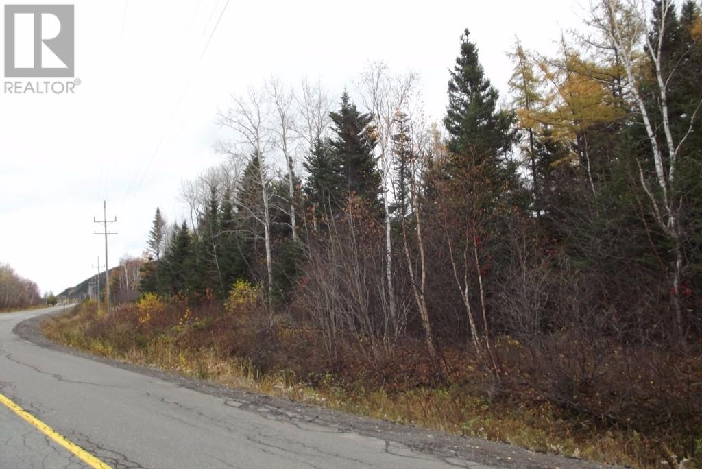 34-60 Rattling Brook Road, Norris Arm, Newfoundland & Labrador  A0G 3M0 - Photo 7 - 1289686