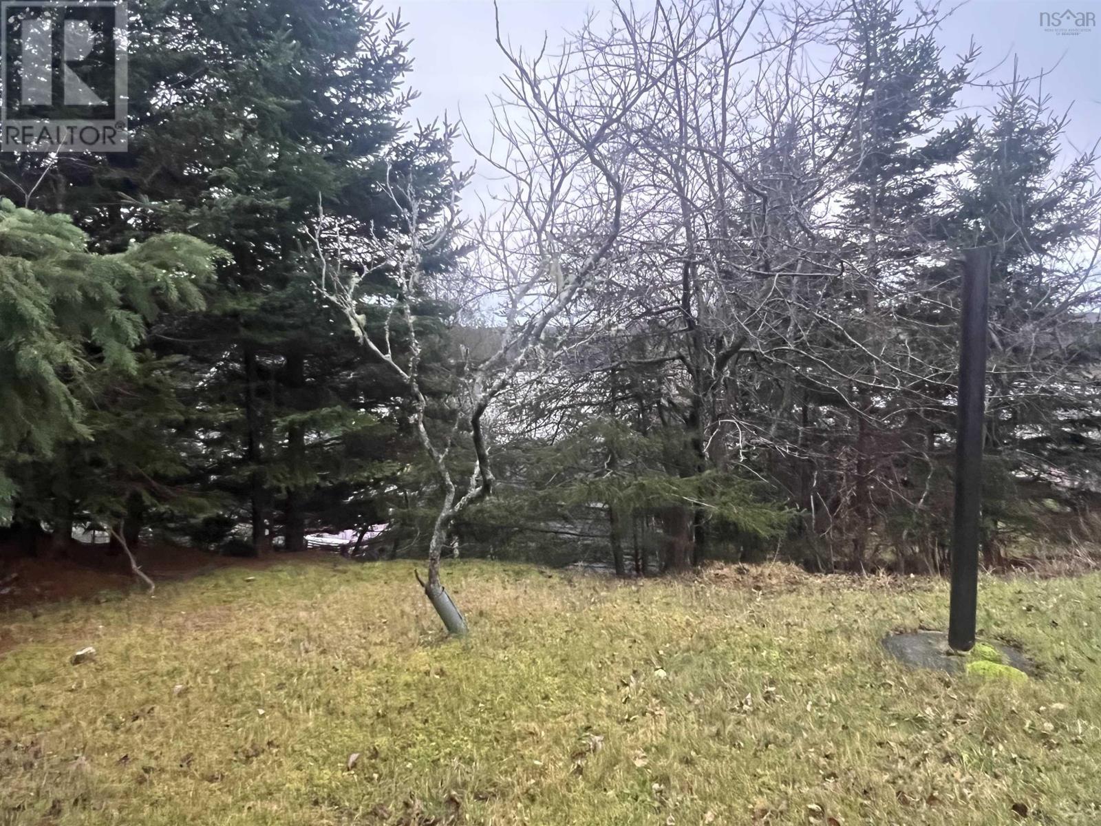 4014 Sonora Road, Sherbrooke, Nova Scotia  B0J 3C0 - Photo 6 - 202511176