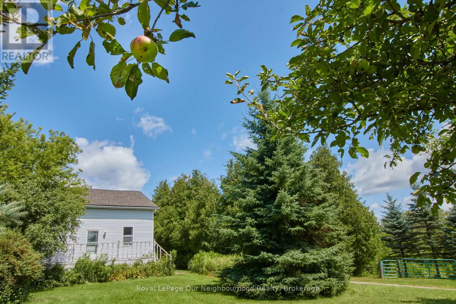 3088 Concession 7 Road, Clarington, Ontario  L1B 1L9 - Photo 43 - E12357902