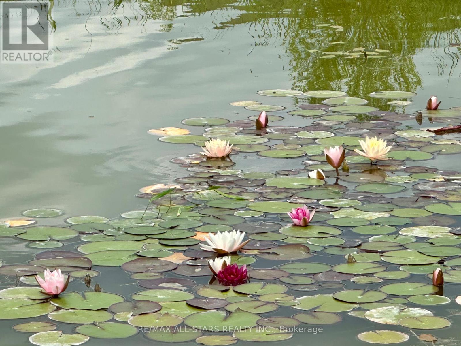 6 - 21 Hampton Lane, Selwyn, Ontario  K0L 2H0 - Photo 31 - X12284281