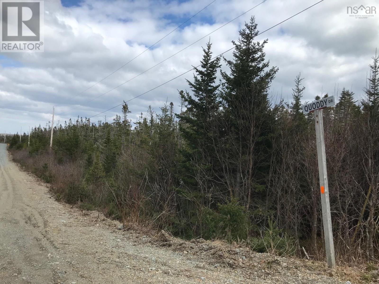 103 Quoddy Drives, West Quoddy, Nova Scotia  B0H 1W0 - Photo 3 - 202509773