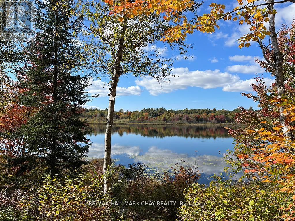 1133 FIRE ROUTE A1 STREET, Gravenhurst, Ontario