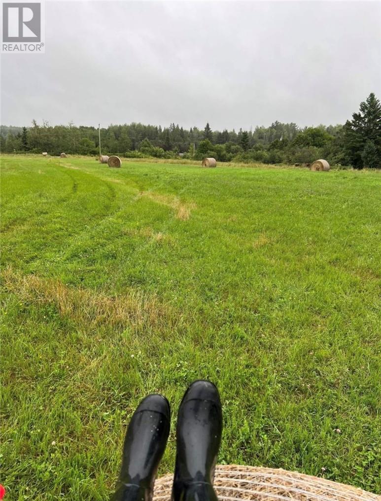 612 Old Hwy 17, Verner, Ontario  P0H 2M0 - Photo 8 - 2124317