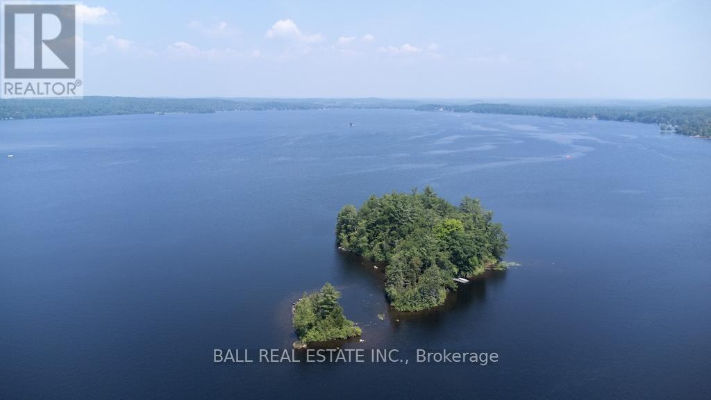 93 High Shore Road, Marmora And Lake, Ontario  K0K 2M0 - Photo 45 - X12297487
