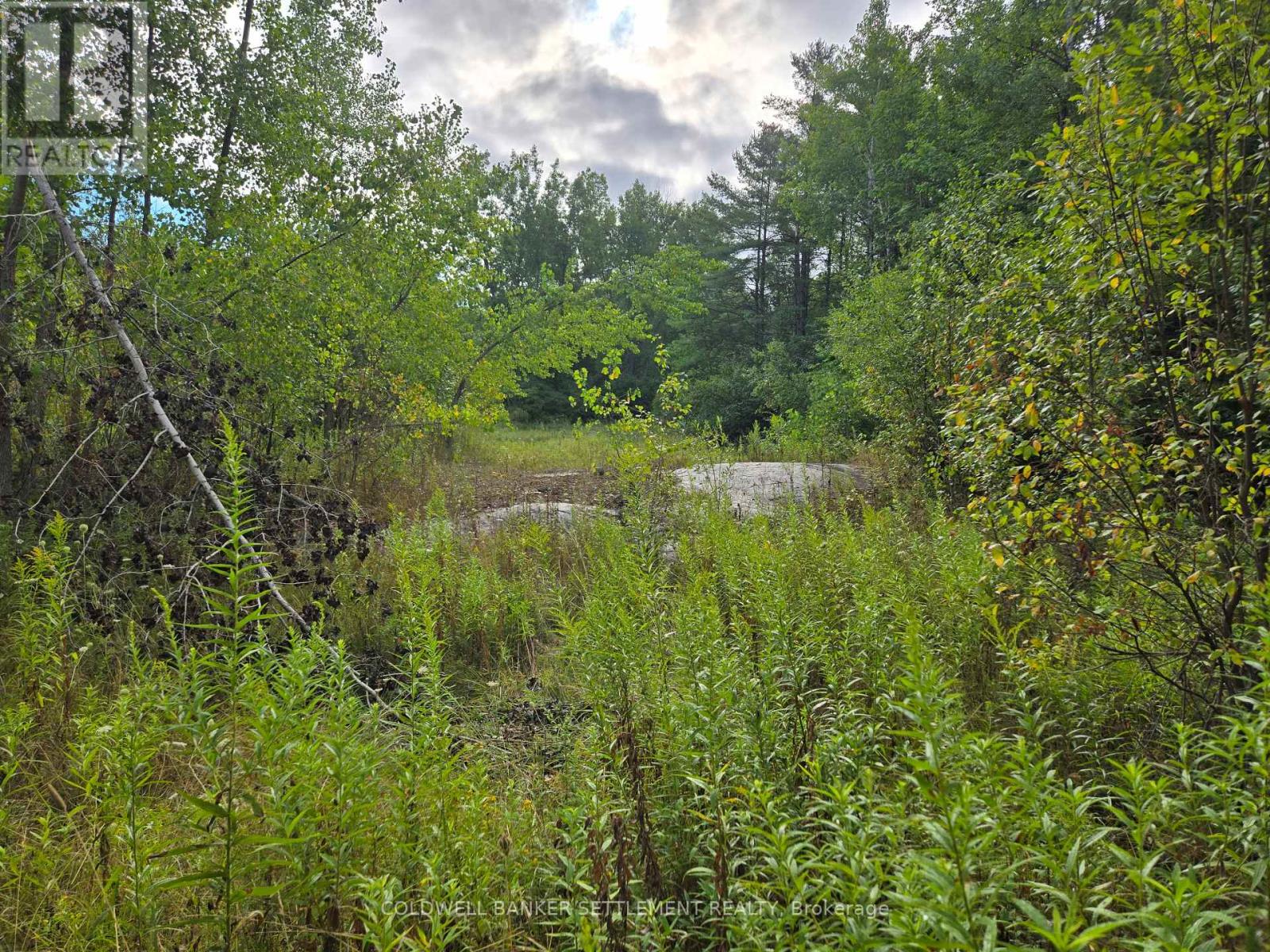 0 Second Depot Lake Road, Central Frontenac, Ontario  K0H 1T0 - Photo 2 - X12364443