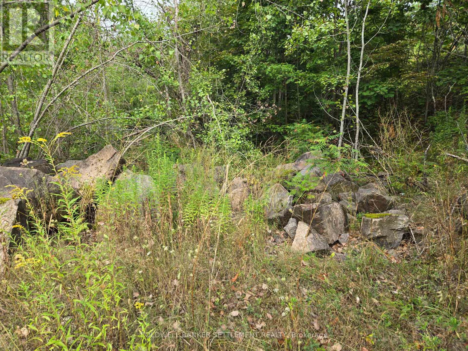0 Second Depot Lake Road, Central Frontenac, Ontario  K0H 1T0 - Photo 3 - X12364443