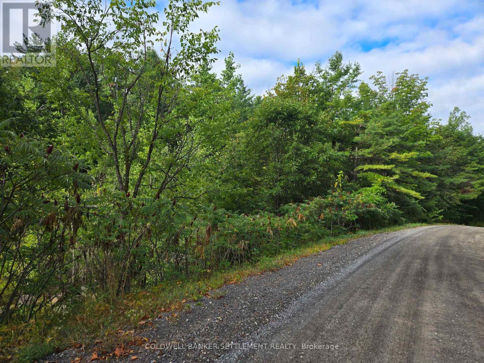 0 Second Depot Lake Road, Central Frontenac, Ontario  K0H 1T0 - Photo 4 - X12364443