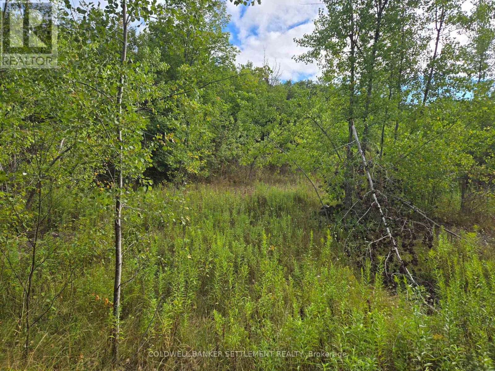 0 Second Depot Lake Road, Central Frontenac, Ontario  K0H 1T0 - Photo 6 - X12364443