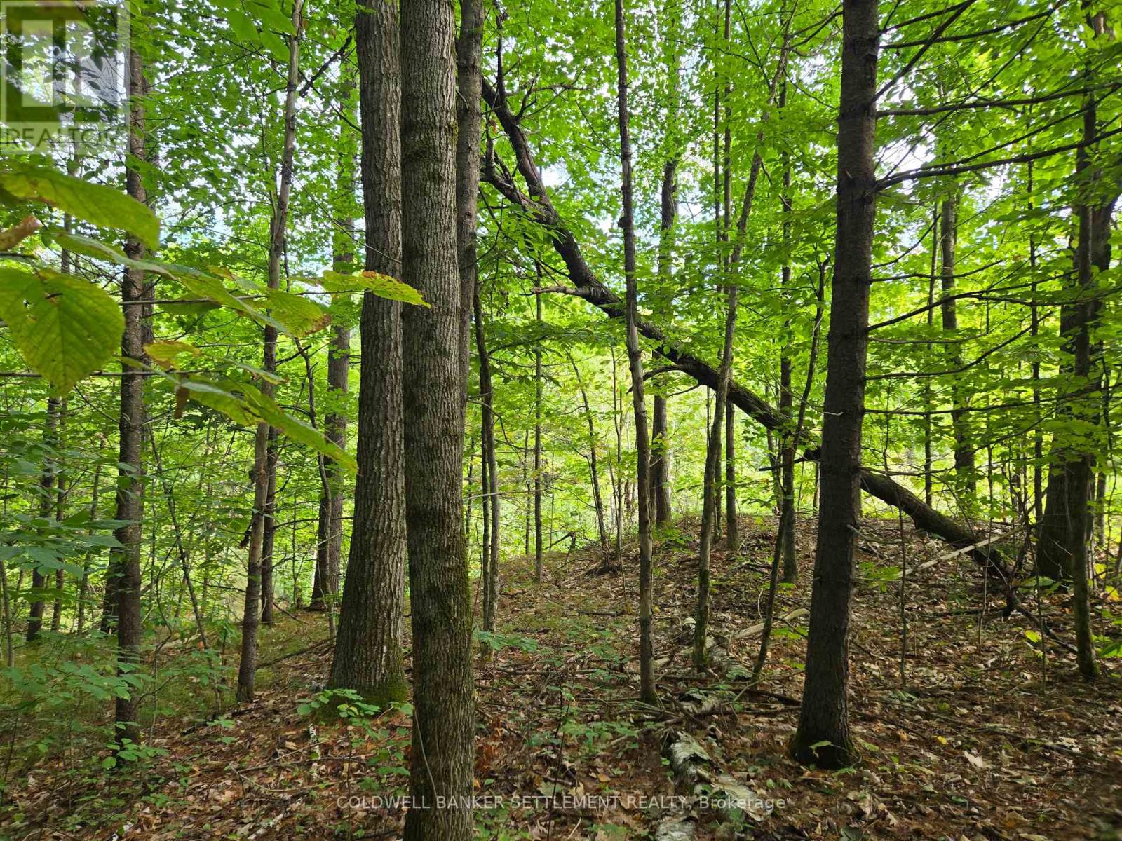 0 Second Depot Lake Road, Central Frontenac, Ontario  K0H 1T0 - Photo 7 - X12364443