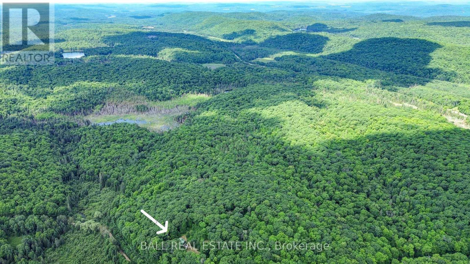 280 Trout Lake Road, Brudenell, Ontario  K0J 2E0 - Photo 7 - X12288944