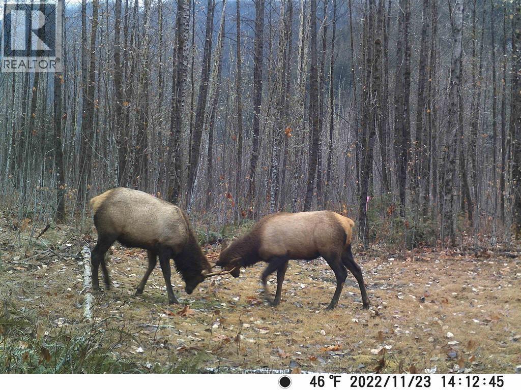 1184 Squamish River Way, Squamish, British Columbia  V8B 0G3 - Photo 22 - R3031674