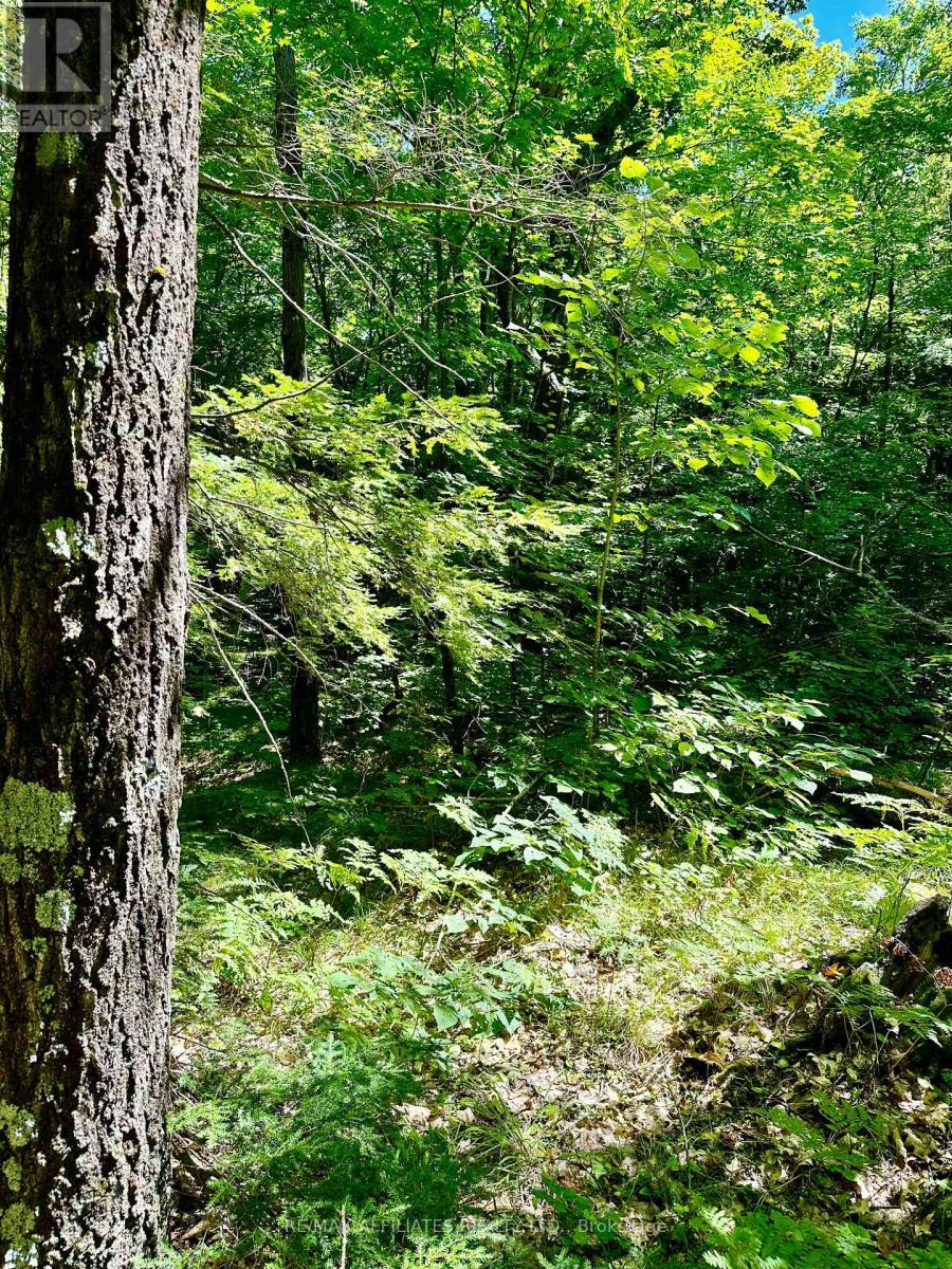 00 Steiger Road, Frontenac, Ontario  K0H 1B0 - Photo 10 - X12364651
