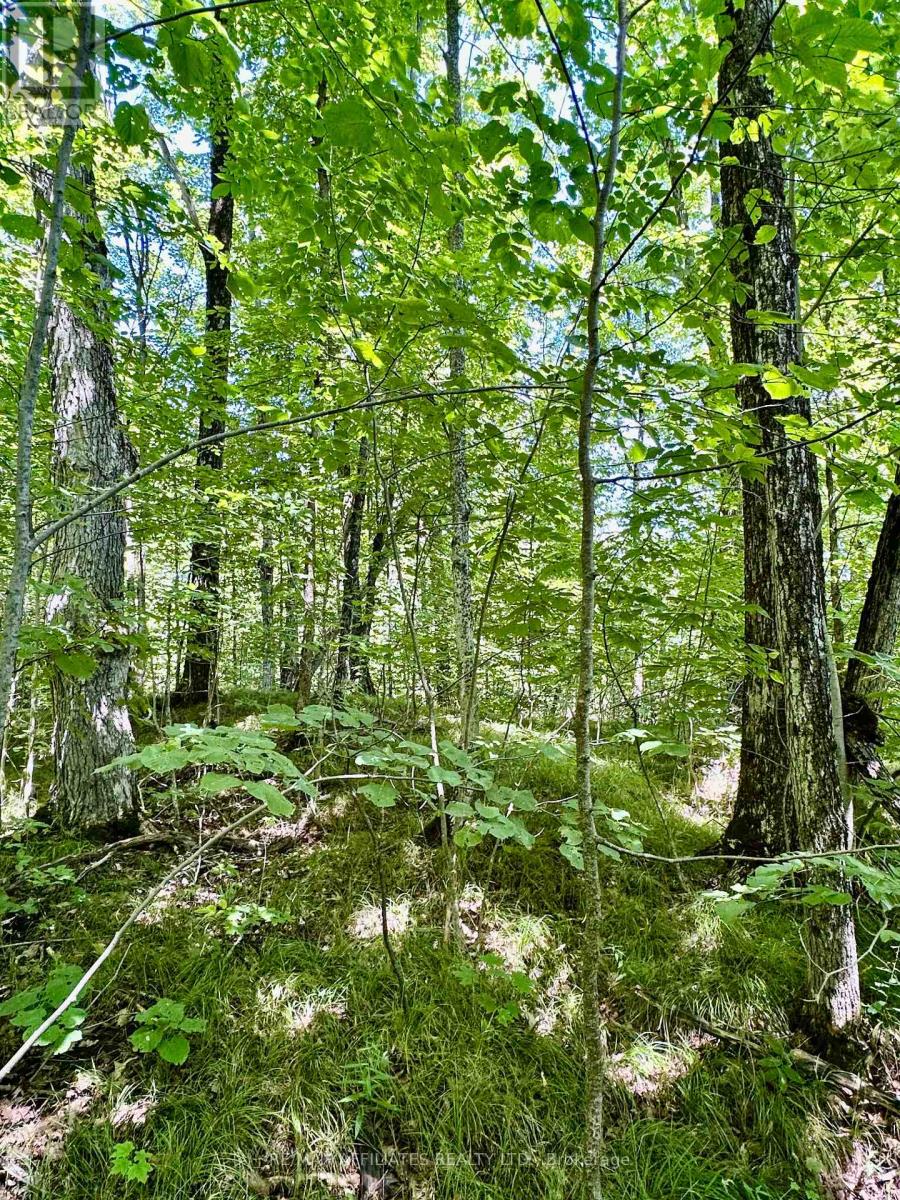 00 Steiger Road, Frontenac, Ontario  K0H 1B0 - Photo 11 - X12364651