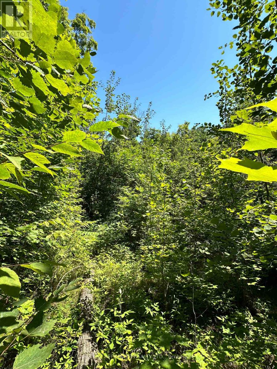 00 Steiger Road, Frontenac, Ontario  K0H 1B0 - Photo 12 - X12364651