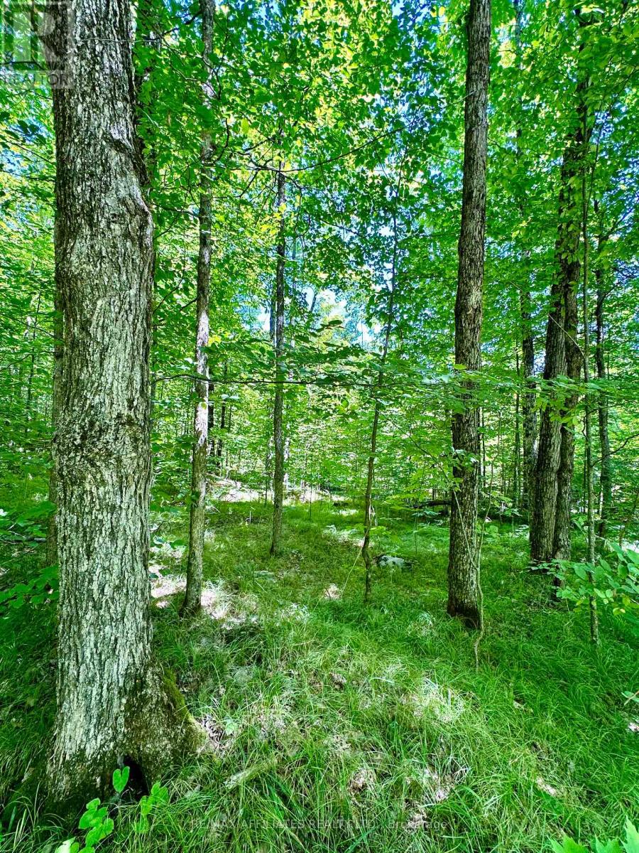 00 Steiger Road, Frontenac, Ontario  K0H 1B0 - Photo 13 - X12364651