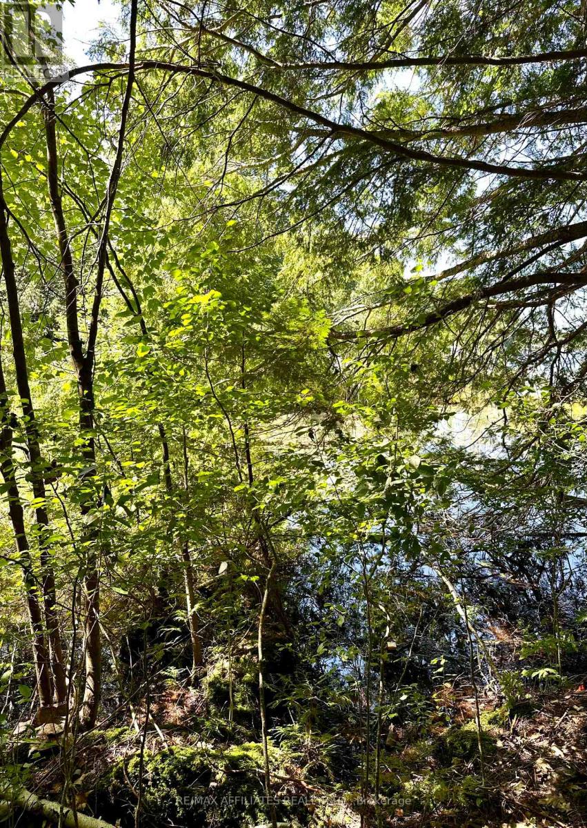 00 Steiger Road, Frontenac, Ontario  K0H 1B0 - Photo 3 - X12364651