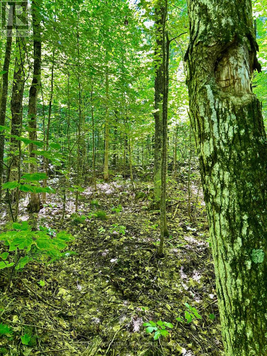 00 Steiger Road, Frontenac, Ontario  K0H 1B0 - Photo 8 - X12364651