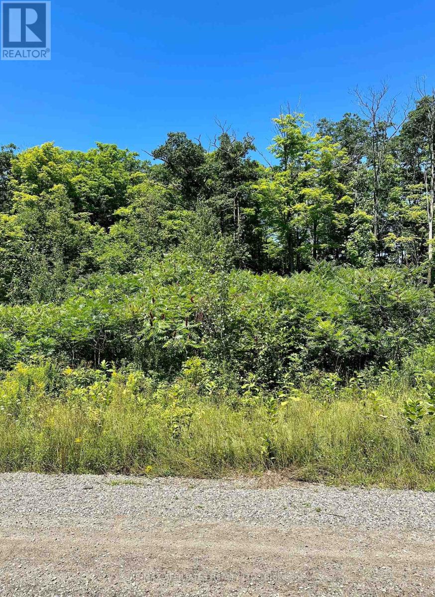 00 Steiger Road, Frontenac, Ontario  K0H 1B0 - Photo 9 - X12364651