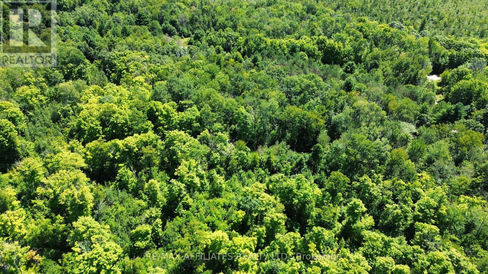 000 Kirk Kove Road, Frontenac, Ontario  K0H 1B0 - Photo 11 - X12364737