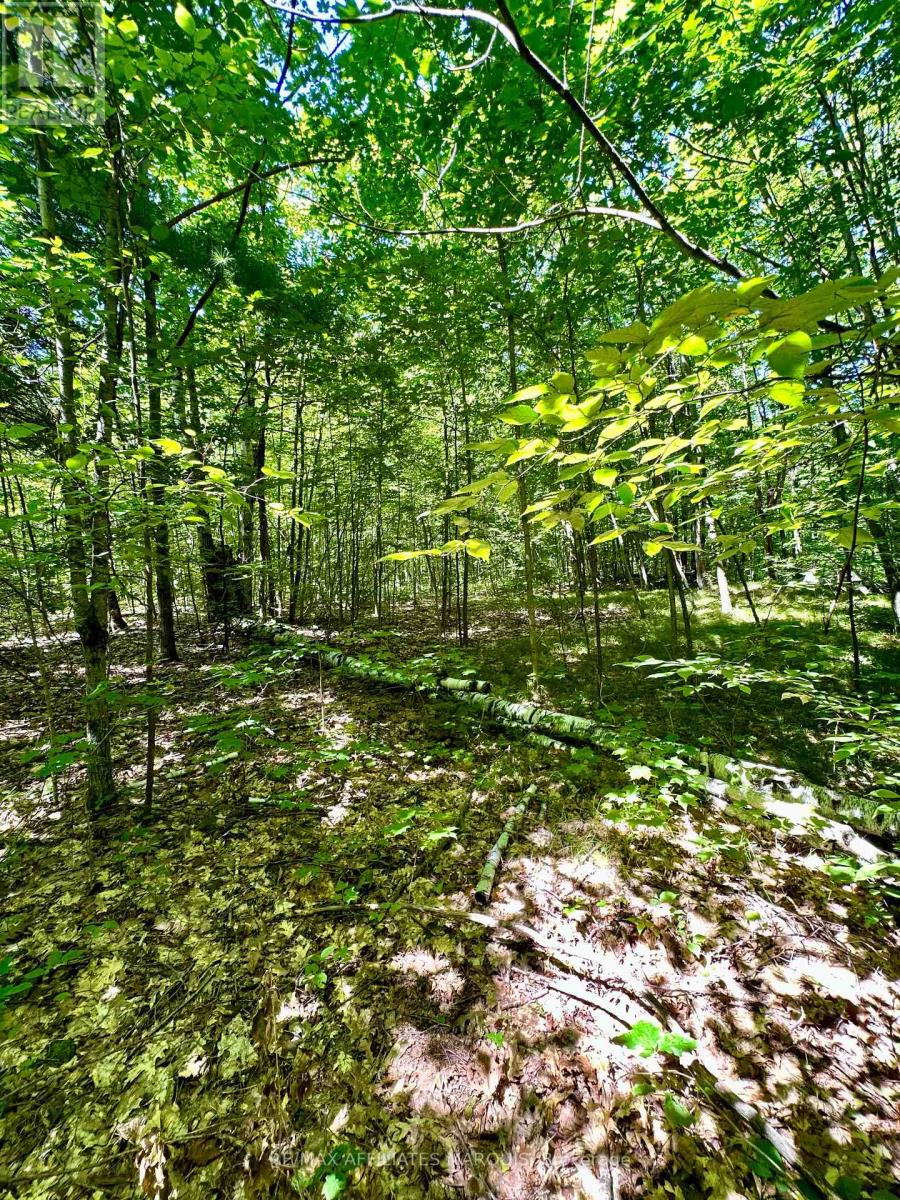000 Kirk Kove Road, Frontenac, Ontario  K0H 1B0 - Photo 12 - X12364737